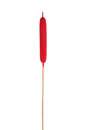 Yapay Çiçek Deposu - Kuru Dal Dekoratif Kamış 100 cm Kırmızı(Kadife Kaplama)