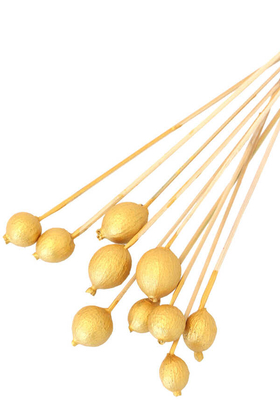 Yapay Çiçek Deposu - 10lu Gauri Fruit On Steam Gold Altın Renk Gold