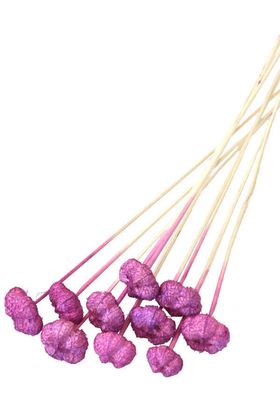 Yapay Çiçek Deposu - 10lu Paras Ped Bleach on Stem 45 cm Erguvan