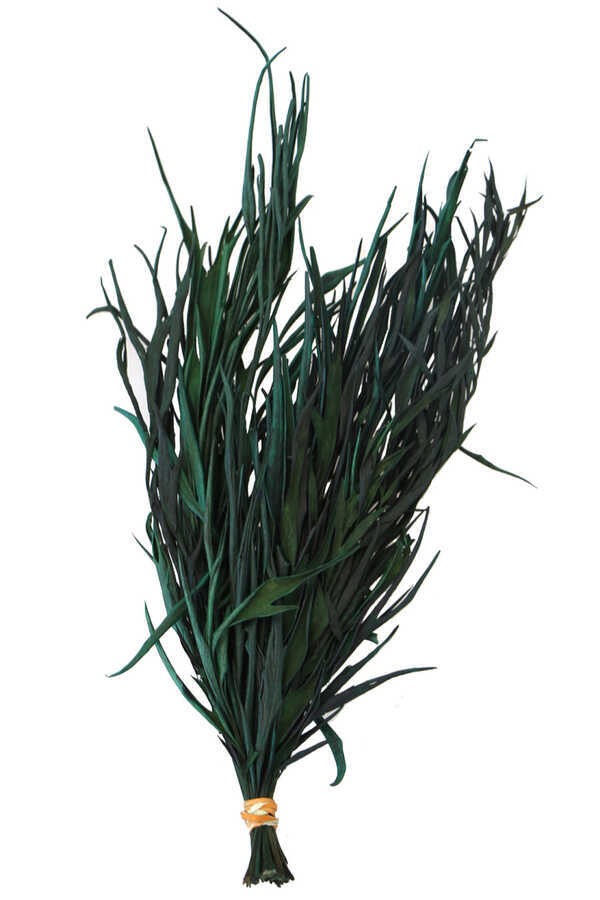 Dekoratif Kurutulmuş Yeşil Mini Bitki 20 Cm Gavellia Leaves