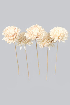 Yapay Çiçek Deposu - 5 Adet Shola Doğal Kuru Karanfil 25 cm Beyaz