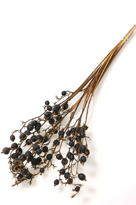 Yapay Çiçek Deposu - Kuru Çiçek Black Berri Böğürtlen Dalı 60cm