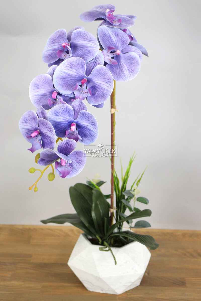 Beton Saksıda Yapay Baskılı Islak Orkide 55 cm Lila