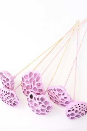Yapay Çiçek Deposu - Succulent Lotus Plant Gerçek Lotus Çiçeği Bambu Saplı 6 Adet Lila