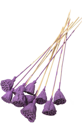 Yapay Çiçek Deposu - 10 Adet Orta Boy Saplı Lotus Plant Mor (Gerçek Lotus)