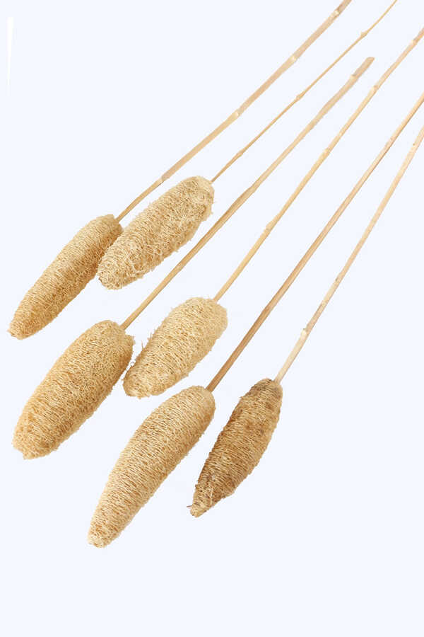 Tropikal Tropic Luffa Kuru Çiçek Bambu Saplı 6 Adet