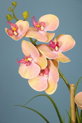 Melamin Saksıda 4 Dal Yapay Orkide Aranjmanı Somon 55 cm - Thumbnail