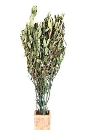 Yapay Çiçek Deposu - Şoklanmış Gökçe Dalı Demeti 50 cm Yeşil