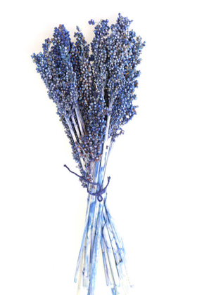 Yapay Çiçek Deposu - Kuru Çiçek Sorghum Otu 55 cm Mavi