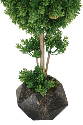 Premium Mermer Desenli Saksıda Mini Çam Şimşir Ağaç 50 cm - 2