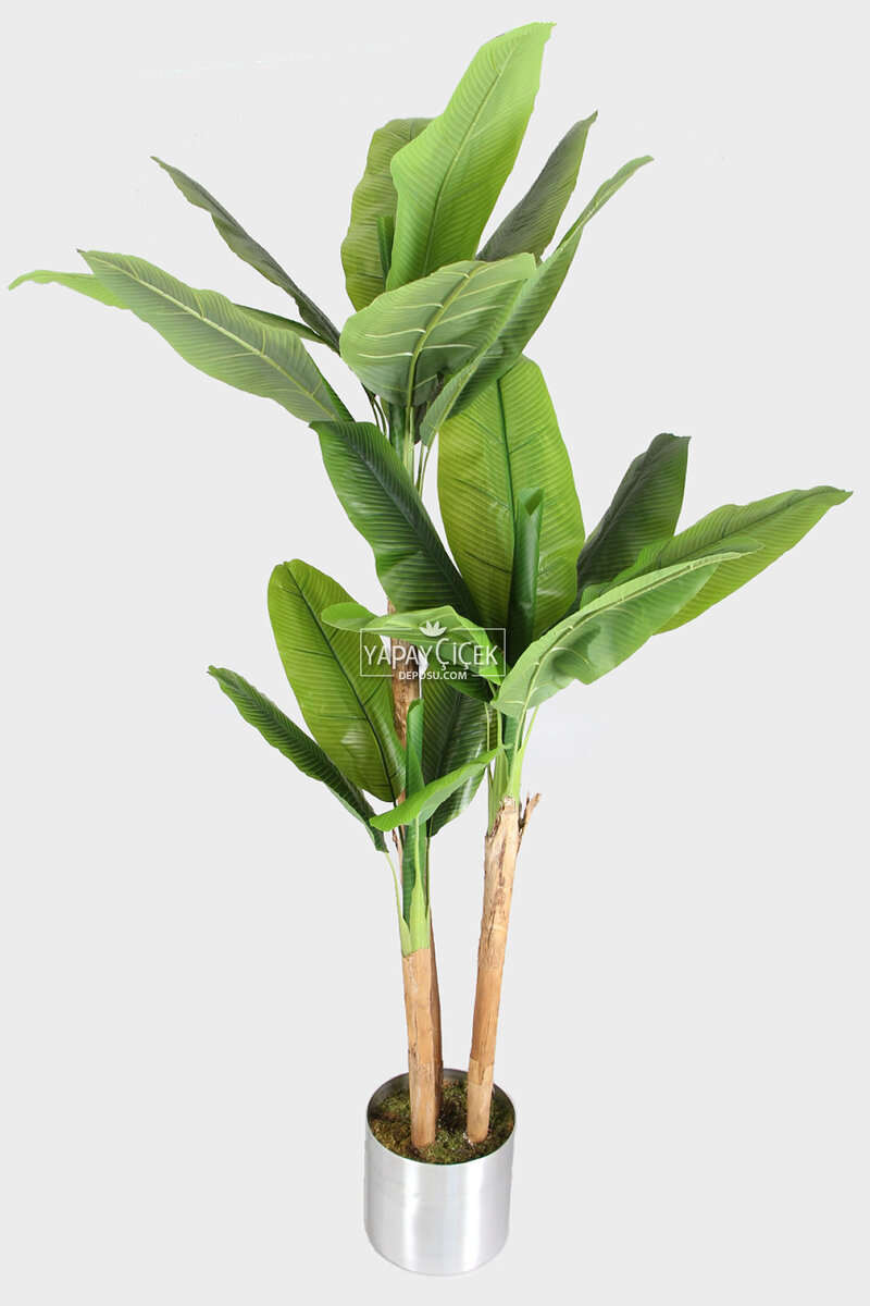 19 Yapraklı Gri Metal Saksıda Yapay Muz Ağacı 240 cm