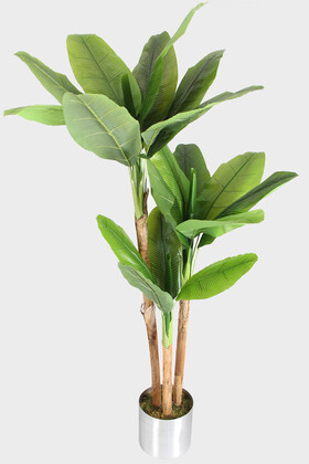 19 Yapraklı Gri Metal Saksıda Yapay Muz Ağacı 240 cm - Thumbnail