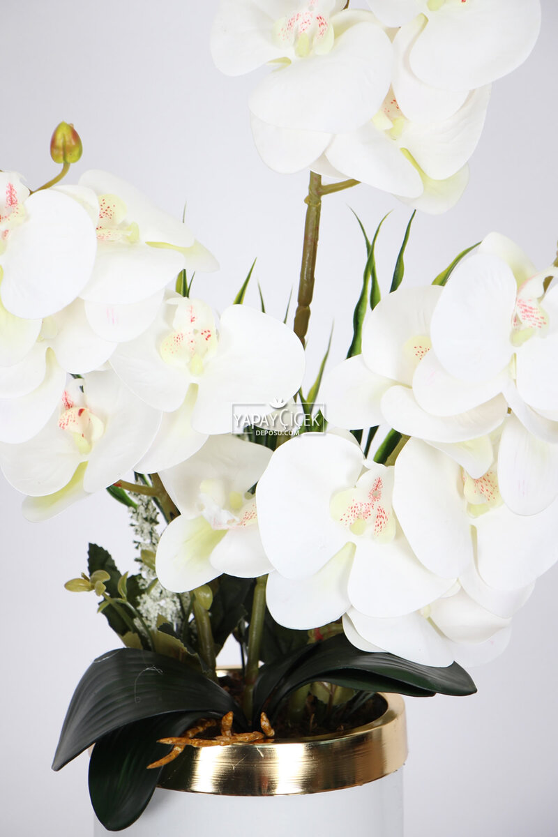 Metal Beyaz-Gold Saksıda Yapay Orkide Tanzimi 75 cm Javanica