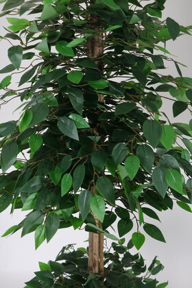 Gri Metal Saksıda Yapay Benjamin Ağacı (Ficus benjamina) 180 cm Yeşil - Thumbnail