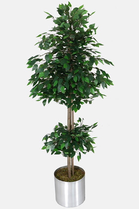 Yapay Çiçek Deposu - Gri Metal Saksıda Yapay Benjamin Ağacı (Ficus benjamina) 180 cm Yeşil