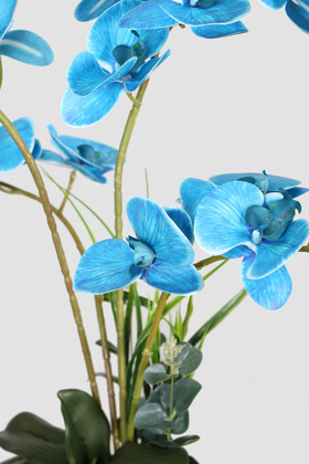Metal Beyaz-Gümüş Saksıda Lüx 4lü Orkide Mavi - Thumbnail