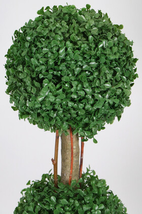Yapay 2 Katlı Mini Şimşir Ağacı 80 cm Beyaz Saksılı - Thumbnail