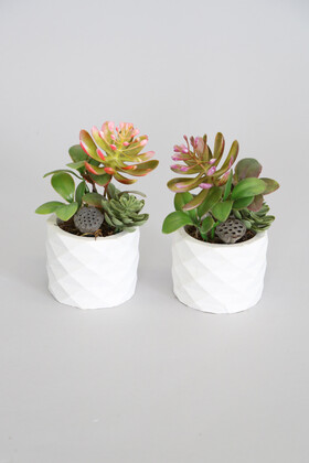 Yapay Çiçek Deposu - Mini Beton Saksıda Lotuslu Succulent 2li Set