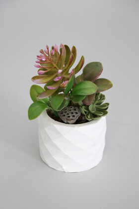 Yapay Çiçek Deposu - Mini Beton Saksıda Lotuslu Succulent Morlu Model