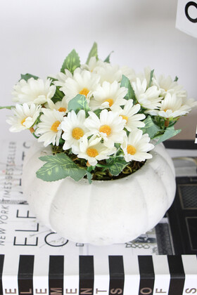 Yapay Çiçek Deposu - Küçük Kabak Saksıda Yapay Papatya Tanzimi 15 cm