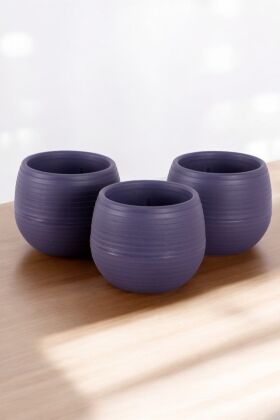 Mini Kaktüs Sukulent Saksısı 3lü Set Koyu Mor Elvan Model 9 Cm - 3