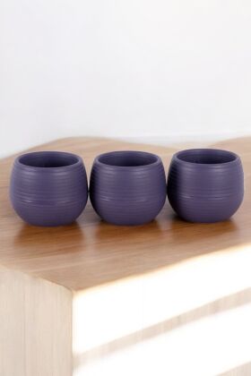 Mini Kaktüs Sukulent Saksısı 3lü Set Koyu Mor Elvan Model 9 Cm - 4