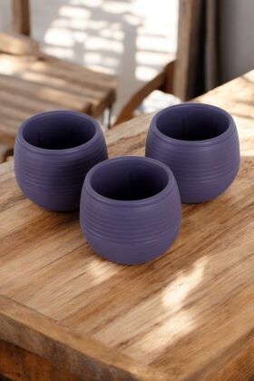 Mini Kaktüs Sukulent Saksısı 3lü Set Koyu Mor Elvan Model 9 Cm - Yapay Çiçek Deposu