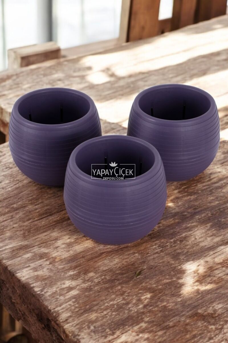 Mini Kaktüs Sukulent Saksısı 3lü Set Koyu Mor Elvan Model 12.5 Cm 1.3 Litre
