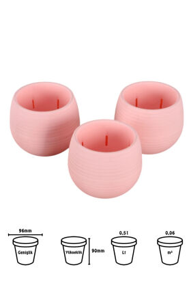 Mini Kaktüs Sukulent Saksısı 3lü Set Pembe Elvan Model 9 Cm - 2