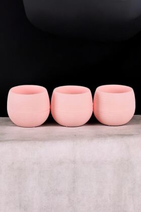 Mini Kaktüs Sukulent Saksısı 3lü Set Pembe Elvan Model 9 Cm - 4