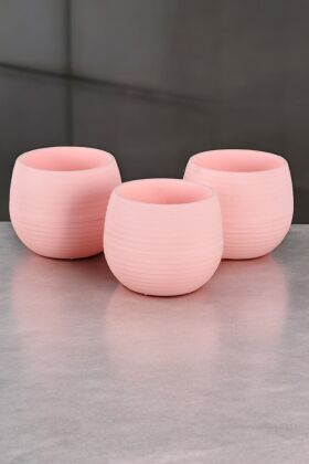Mini Kaktüs Sukulent Saksısı 3lü Set Pembe Elvan Model 9 Cm - 3