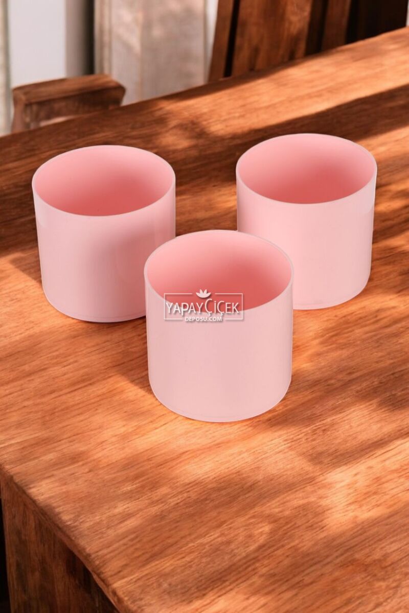 Mini Kaktüs Sukulent Saksısı 3lü Set Pembe Trend Model 10 Cm