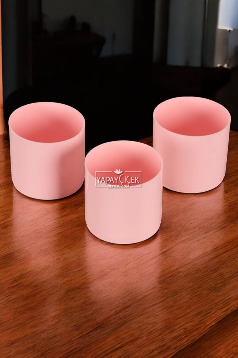 Mini Kaktüs Sukulent Saksısı 3lü Set Pembe Trend Model 8 Cm