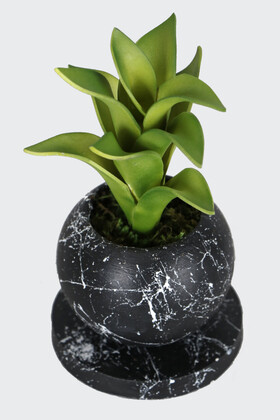 Yapay Çiçek Deposu - Mermer Desenli Mini Altlıklı Küre Saksıda Lateks Sukulent 20 cm