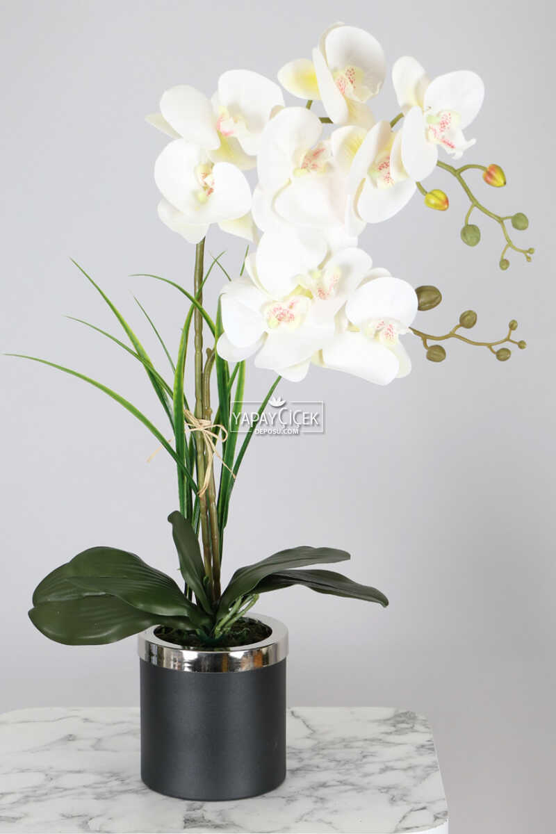 Mini Metal Saksıda Dekoratif 2li Yapay Islak Orkide Tanzimi Beyaz 60 Cm