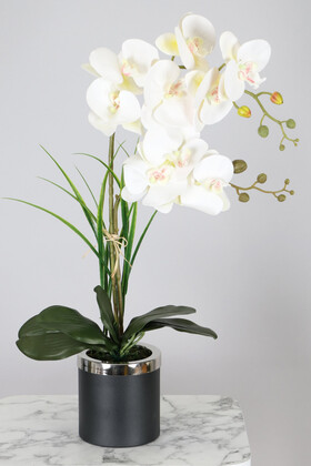 Yapay Çiçek Deposu - Mini Metal Saksıda Dekoratif 2li Yapay Islak Orkide Tanzimi Beyaz 60 cm