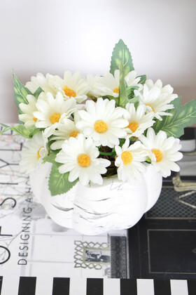 Mini Kabak Saksıda Yapay Papatya Tanzimi 13 cm - 2