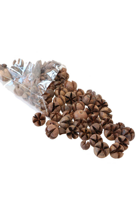 Tropik Mini Süsleme Eucalyptus Pod 100gr - Yapay Çiçek Deposu