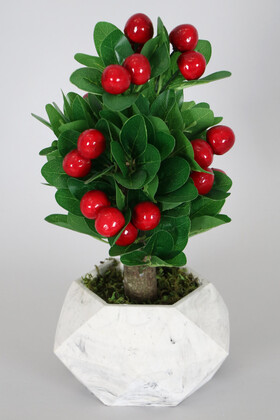 Yapay Çiçek Deposu - Beton Saksıda Yapay Napolyon Kiraz Ağacı 35 cm