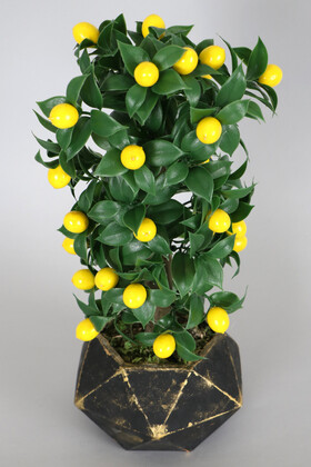 Beton Saksıda Yapay Misket Limon Ağacı 40 cm - Thumbnail