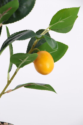 Yapay Gerçek Dokulu Mini Limon Ağacı Saksıda 44 cm - 3