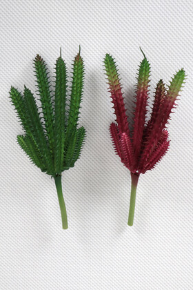 Yapay Çiçek Deposu - Yapay Succulent Sukulent Kaktüs Huernia Penzigii 2li Set