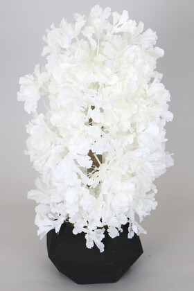 Yapay Çiçek Deposu - Beton Saksıda Minyatür Japon Bahar Dalı Ağacı 45 cm Beyaz