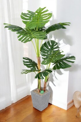 Beton Dokulu Ahşap Saksıda Yapay Deve Tabanı Ağacı (monstera Ağacı) Gerçek Dokulu 170 Cm - Yapay Çiçek Deposu