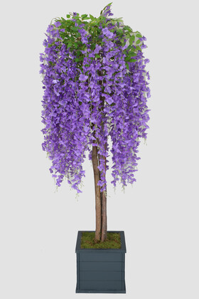 Yapay Çiçek Deposu - Yapay Akasya Ağacı Mor Çiçekli 180 cm