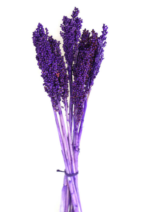 Yapay Çiçek Deposu - Kuru Çiçek Sorghum Otu 55 cm Mor