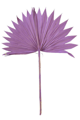 Yapay Çiçek Deposu - 4lü Kuru Tropic Palmiye Yaprağı 40 cm Mor
