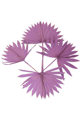 4lü Kuru Tropic Palmiye Yaprağı 40 cm Mor - Thumbnail