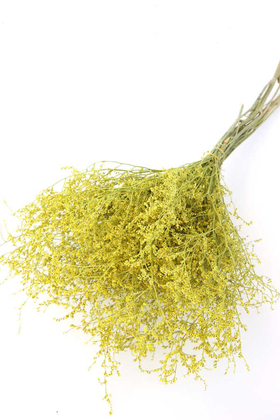 Şoklanmıs Tatarika Demeti 80gr(Dökülmez) Sarı - Yapay Çiçek Deposu
