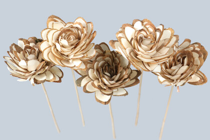 5 Adet Shola Chips Doğal Kuru Çiçek 26 cm - 3